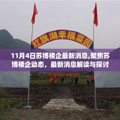 苏博楼企最新动态解读与探讨——聚焦11月4日消息