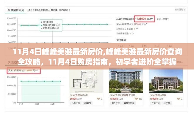 11月4日峰峰美雅房价最新动态，购房指南与查询全攻略，初学者进阶必备知识