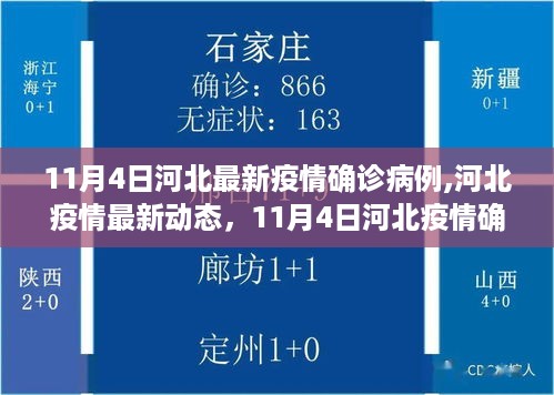 河北疫情最新动态解析，11月4日确诊病例全面解析