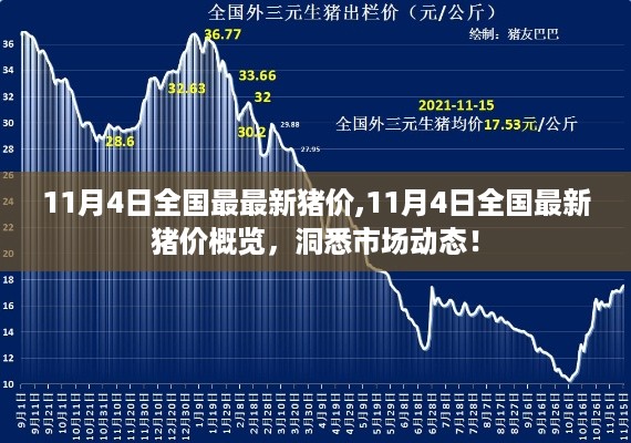 11月4日全国最新猪价概览，市场动态一目了然