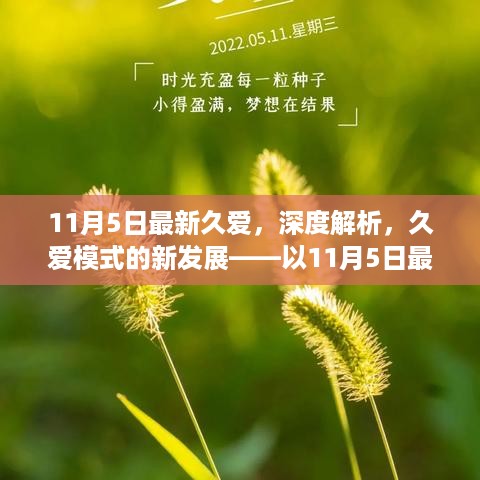 深度解析，久爱模式的新发展——以最新动态为例