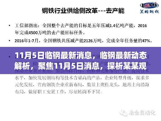 临钢最新动态解析，聚焦观点探析与最新消息解读（11月5日）