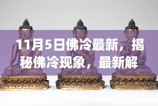 揭秘佛冷现象，最新解读与探讨（截至11月5日）