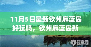 揭秘钦州麻蓝岛新科技之旅，最新科技产品引领生活新高度体验指南（11月5日版）