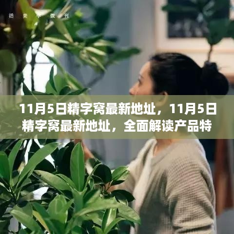 11月5日精字窝最新地址全面解读，产品特性与使用体验详解