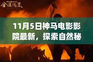 11月5日神马电影影院探索自然秘境，启程寻找内心的宁静与平和之旅