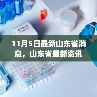 山东省最新资讯深度解析与观察报告，11月5日报告发布