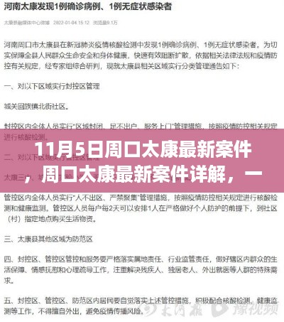 周口太康最新案件解析，深入了解案件进展与应对方法（适合初学者与进阶用户）