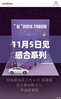 见感合系列最新篇章，11月5日的温馨日常