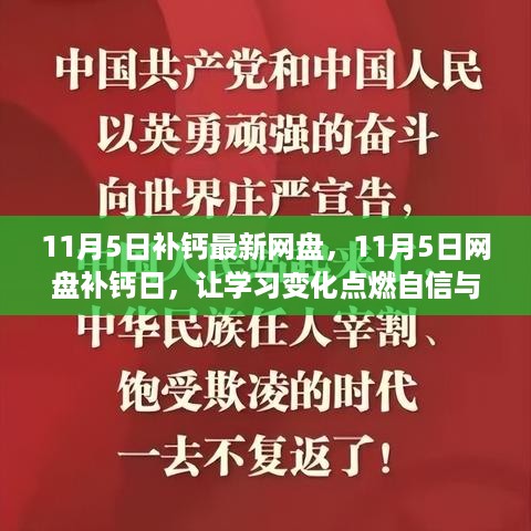 11月5日网盘补钙日，点燃自信与成就之光的学习变革