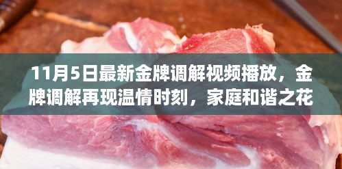 金牌调解再现温情时刻，日常琐事中的家庭和谐之花绽放于11月5日最新播放中