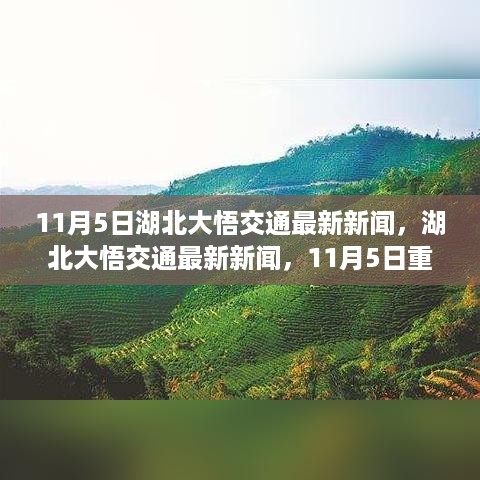 湖北大悟交通重大事件回顾，11月5日最新新闻与影响分析