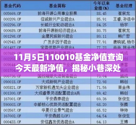 揭秘小巷深处的宝藏，今日最新净值与美食奇缘的基金净值查询