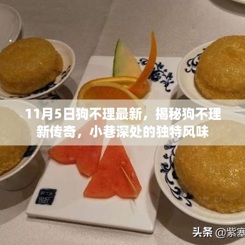 揭秘狗不理新传奇，小巷深处的独特风味（最新消息）