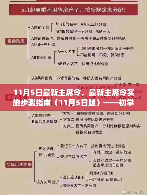 最新主席令实施步骤指南（初学者与进阶用户通用版）——11月5日更新