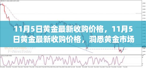 11月5日黄金最新收购价格，洞悉市场动态，把握黄金投资机会