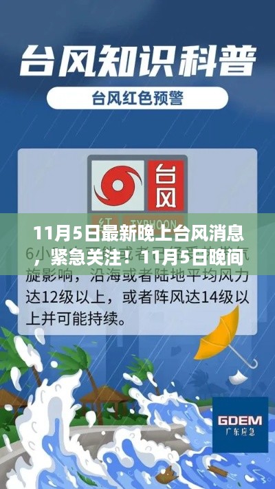 紧急关注！台风最新动态及晚间消息（11月5日）