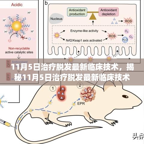 揭秘，最新脱发治疗临床技术，重塑自信美丽新篇章（11月5日更新）