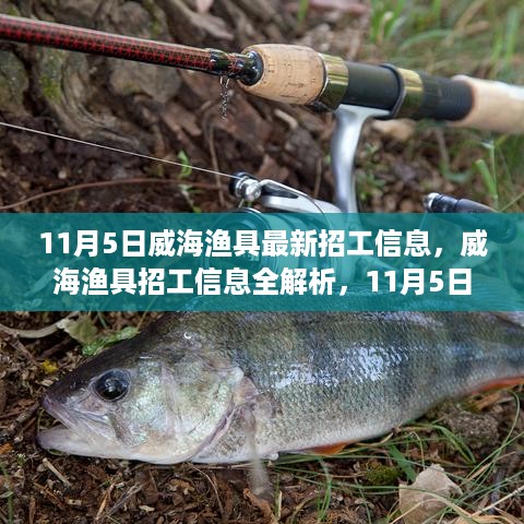 威海渔具最新招工信息解析与指南（11月5日版）