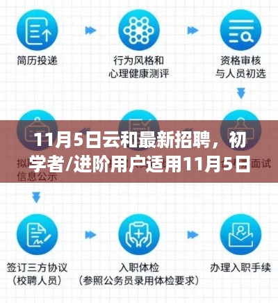 11月5日云和最新招聘指南，初学者与进阶用户的应聘全流程