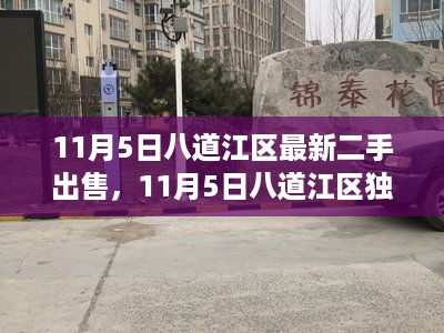 11月5日八道江区二手高科技产品盛宴，领略未来生活新风尚