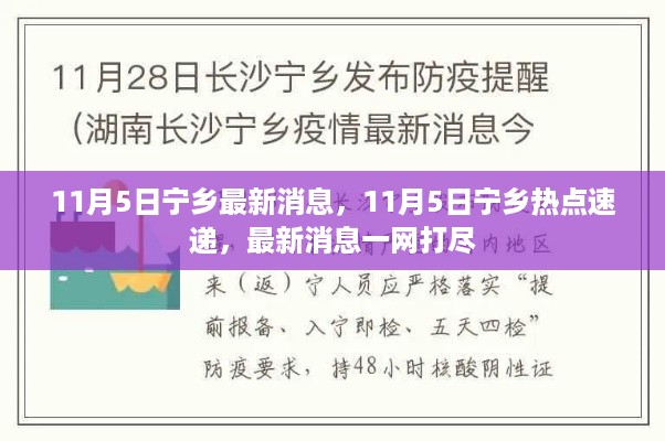 11月5日宁乡热点速递，最新消息一网打尽