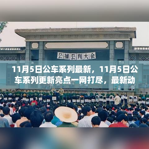 11月5日公车系列全新更新亮点一网打尽，最新动态与特色全解析