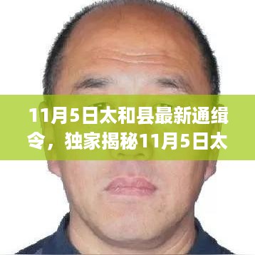 独家揭秘，太和县最新通缉令背后的故事与小巷深处的独特小店探秘之旅