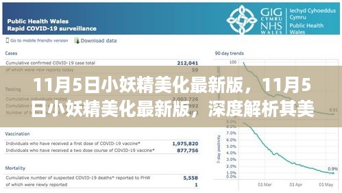 11月5日小妖精美化最新版深度解析，美化效果与个人立场探讨