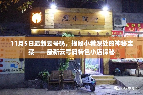 揭秘小巷深处的神秘宝藏，最新云号码特色小店探秘之旅