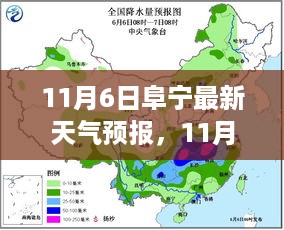 11月6日阜宁天气预报更新，气象分析与天气趋势详解