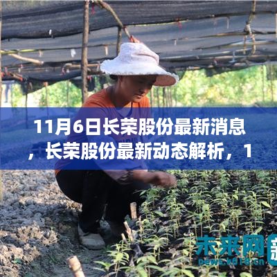 长荣股份最新动态解析，产品特性、用户体验与市场定位深度探讨（11月6日）