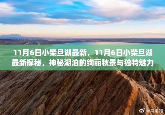 11月6日小柴旦湖探秘，绚丽秋景与独特魅力展现神秘湖泊之美