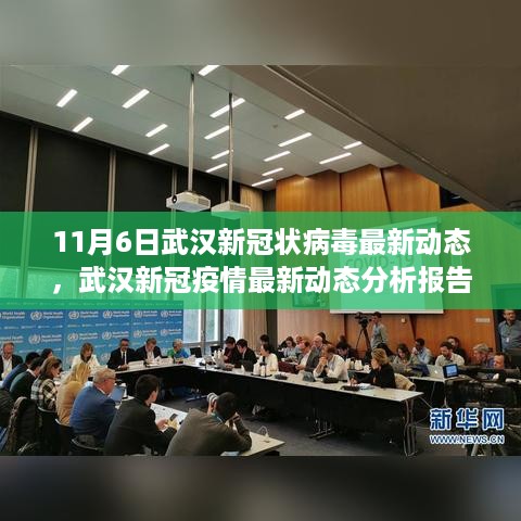 武汉新冠疫情最新动态分析报告（截至11月6日）——新冠病毒持续观察与应对进展