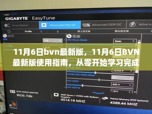 11月6日BVN最新版使用指南，从零开始学习，掌握任务完成的每一步