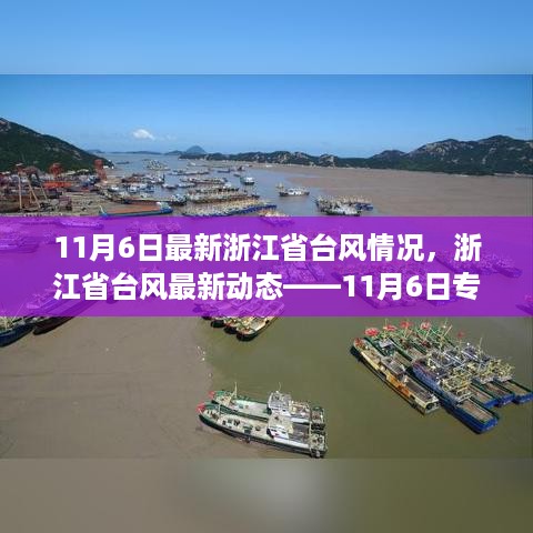 浙江省台风最新动态专题报告，11月6日台风情况更新