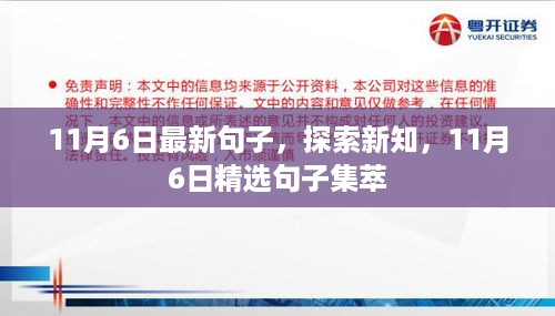 精选句子集萃，探索新知，11月6日最新句子分享