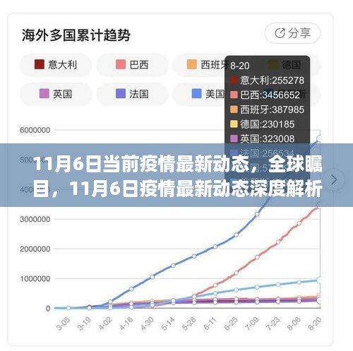 全球瞩目！11月6日疫情最新动态深度解析与综述