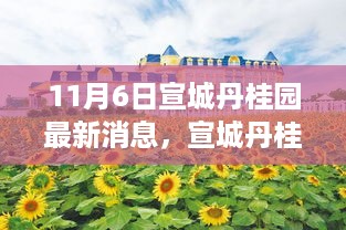 宣城丹桂园探秘，与自然美景的邂逅，最新消息领略宁静之旅