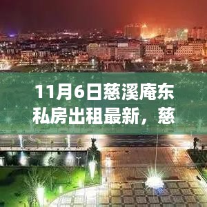 慈溪庵东私房出租最新动态，11月特别观察报告