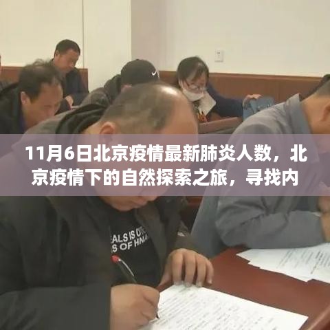 北京疫情下的自然探索之旅，寻找内心的宁静与平和人数更新（最新数据，11月6日）