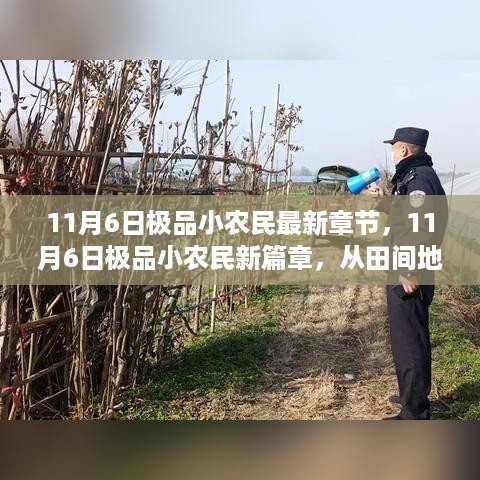 田间地头到智慧农业，励志成长之路最新章节 11月6日极品小农民新篇章