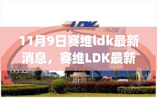 赛维LDK最新动态揭秘，行业影响与展望（11月9日更新）