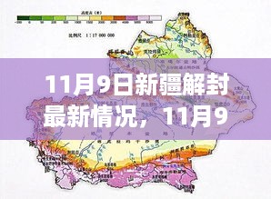 新疆解封最新动态，全面解读与案例分析（附详细案例分析）