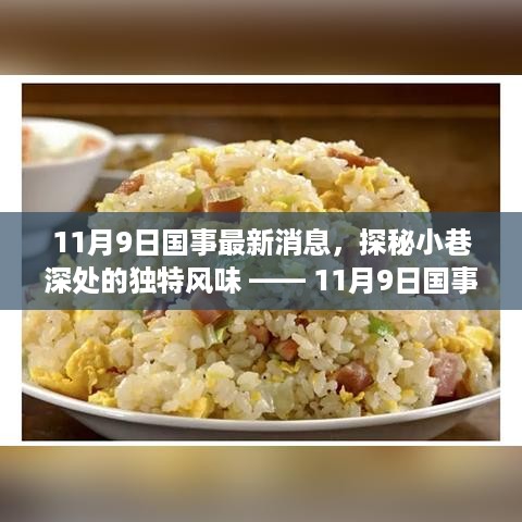 国事新动态下的隐秘美食宝藏，探秘小巷深处的独特风味