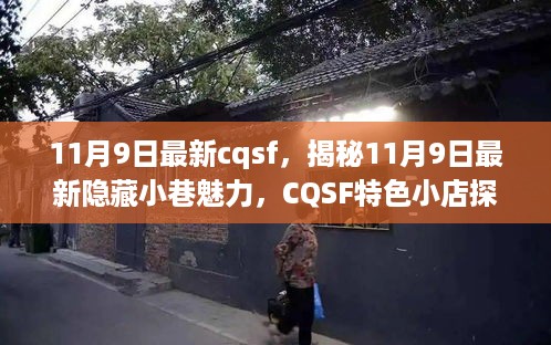 揭秘11月9日最新CQSF特色小巷魅力，探秘隐藏小店之旅