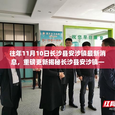 揭秘长沙县安沙镇，往年11月10日最新动态重磅更新📢