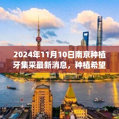 南京种植牙集采新动态，种植希望之芽的励志篇章（2024年11月10日）