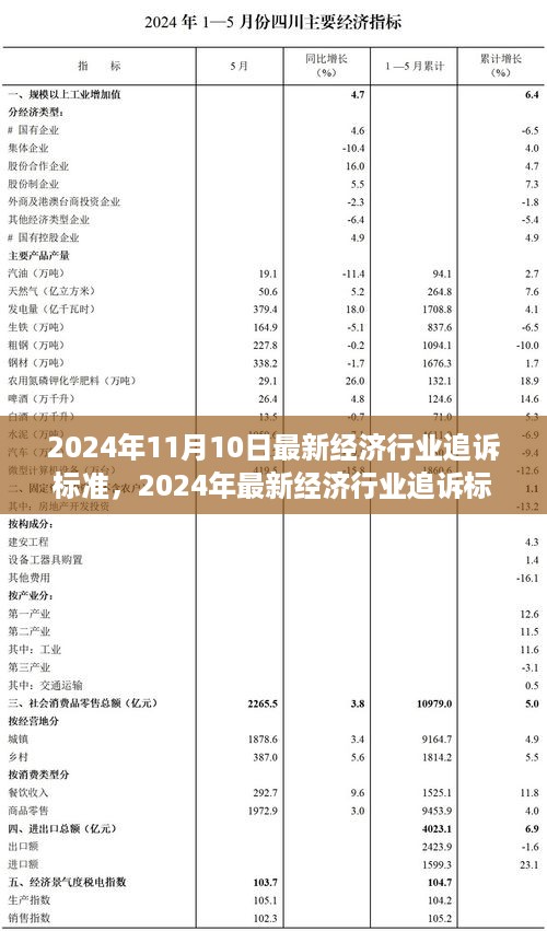 2024年经济行业追诉标准解析与展望，最新标准与趋势预测