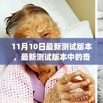 11月10日最新测试版本探秘，友谊与科技的奇妙日常